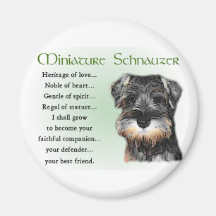 Miniature Schnauzer Gifts Magneet