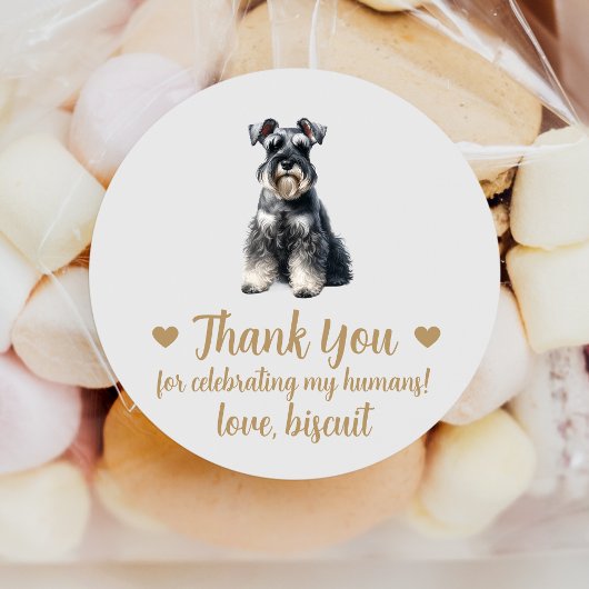 Miniature Schnauzer-hond trouwcadeaustickers Ronde Sticker