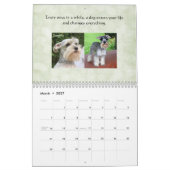 Miniature Schnauzer Kalender (Mar 2027)