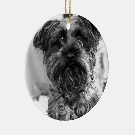 Miniature Schnauzer Keramisch Ornament (Rechts)