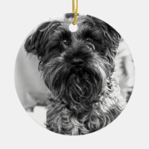 Miniature Schnauzer Keramisch Ornament
