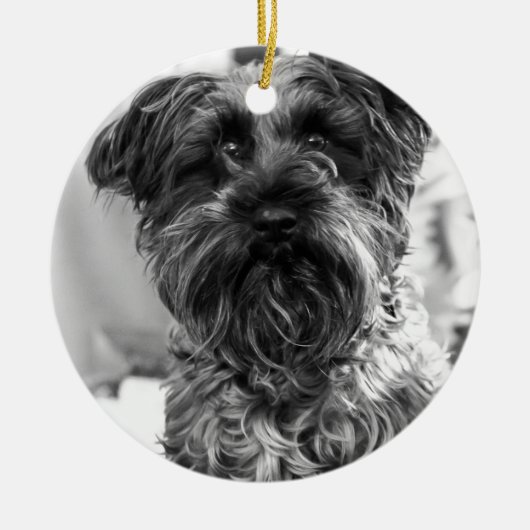 Miniature Schnauzer Keramisch Ornament (Voorkant)