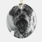 Miniature Schnauzer Keramisch Ornament (Links)