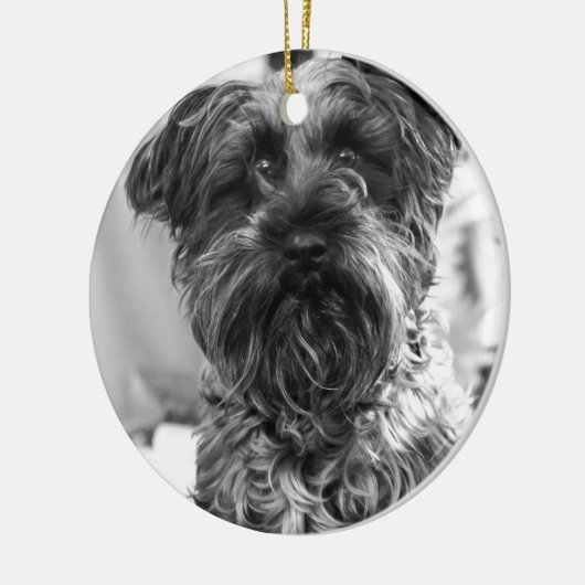 Miniature Schnauzer Keramisch Ornament (Links)