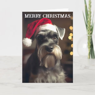Miniature Schnauzer kerstKaart Kaart