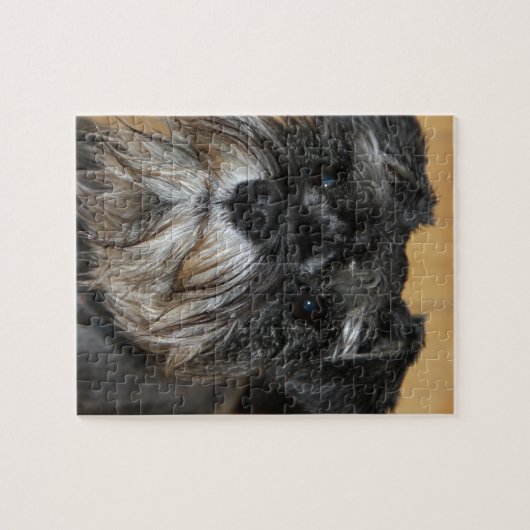 Miniature Schnauzer Legpuzzel (Horizontaal)