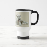 Miniature Schnauzer Mok