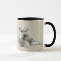 Miniature Schnauzer Mok