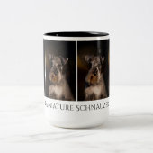 Miniature Schnauzer Mok (Center)