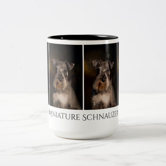 Miniature Schnauzer Mok (Center)