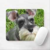 Miniature Schnauzer Muismat (Met muis)