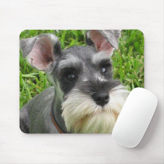 Miniature Schnauzer Muismat (Met muis)