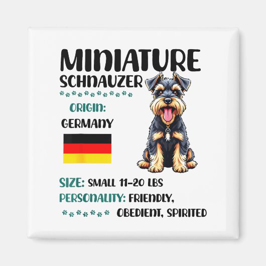 Miniature Schnauzer Origin Funny Mini Schnauzer Lo Magneet (Voorkant)