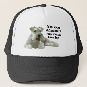 Miniature Schnauzer Pet