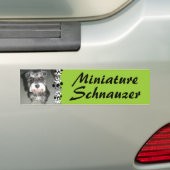 Miniature Schnauzer Photo Bumpersticker (Op auto)