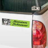 Miniature Schnauzer Photo Bumpersticker (Op Truck)