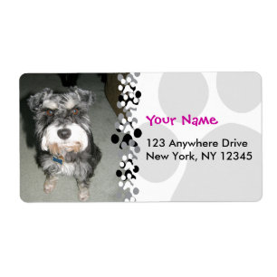 Miniature Schnauzer Photo Etiket
