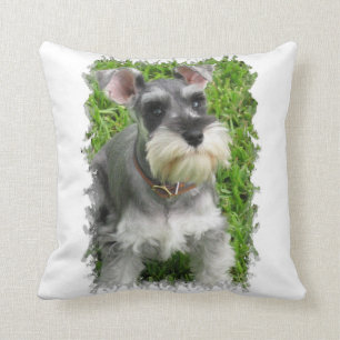 Miniature Schnauzer Pillow Kussen