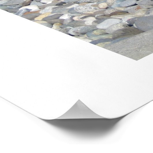 Miniature Schnauzer Poster (Hoek)