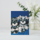 Miniature Schnauzer Puppies Briefkaart (Staand voorkant)