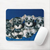 Miniature Schnauzer Puppies Muismat (Met muis)