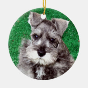 Miniature Schnauzer Puppy Dog Ornament