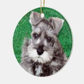 Miniature Schnauzer Puppy Dog Ornament (Links)