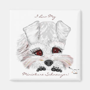 Miniature Schnauzer Puppy Magneet