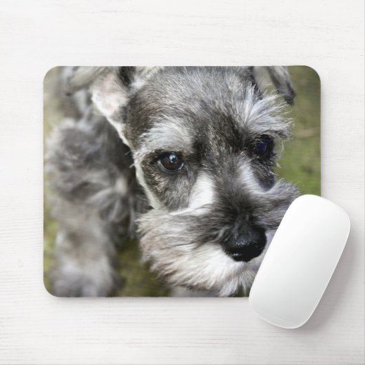 Miniature Schnauzer Puppy Mousepad Muismat (Met muis)