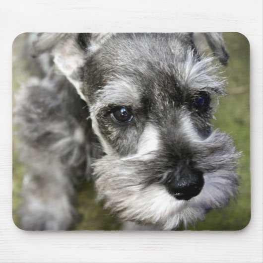 Miniature Schnauzer Puppy Mousepad Muismat (Voorkant)