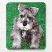 Miniature Schnauzer Puppy Mousepad Muismat (Voorkant)