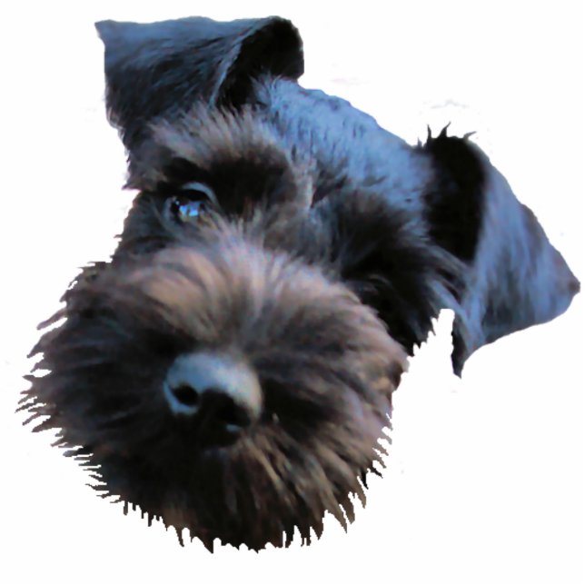 Miniature Schnauzer Sculpture Sleutelhanger Fotobeeldje Sleutelhanger (Voorkant)