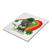 Miniature Schnauzer St Patricks Tegeltje (Zijkant)