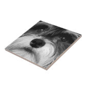 Miniature Schnauzer Tegeltje (Zijkant)