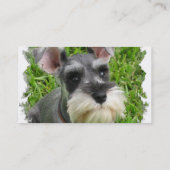 Miniature Schnauzer Visitekaartje (Achterkant)