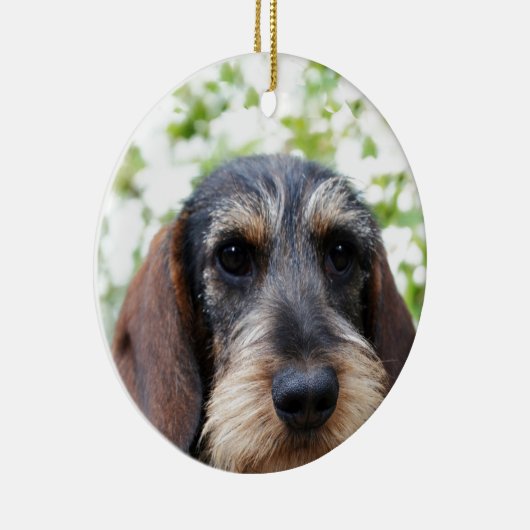 Miniature Wire Haire Dachshund Keramisch Ornament (Rechts)