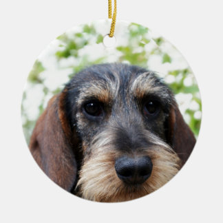 Miniature Wire Haire Dachshund Keramisch Ornament