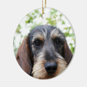 Miniature Wire Haire Dachshund Keramisch Ornament (Links)
