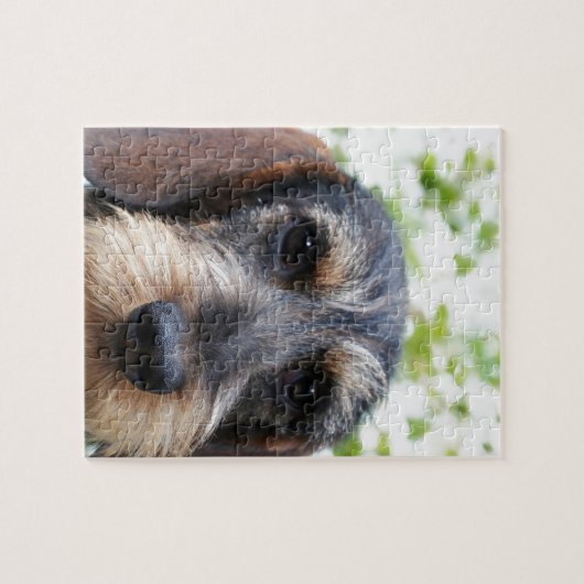 Miniature Wire Haire Dachshund Legpuzzel (Horizontaal)