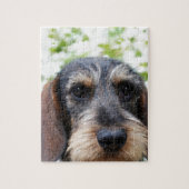 Miniature Wire Haire Dachshund Legpuzzel (Verticaal)