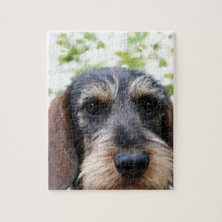 Miniature Wire Haire Dachshund Legpuzzel