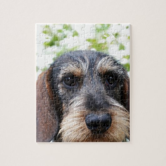Miniature Wire Haire Dachshund Legpuzzel (Verticaal)