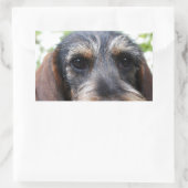 Miniature Wire Haire Dachshund Rechthoekige Sticker (Tas)