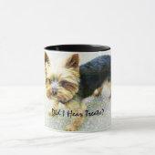 Miniature Yorkshire Terrier Mok (Midden)
