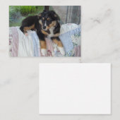 Miniatuur Amerikaanse Herder Black Tri Puppy Notitiekaartje (Voorkant / Achterkant)