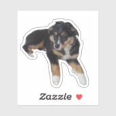 Miniatuur Amerikaanse Herder Black Tri Puppy Sticker (Vel)