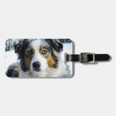 Miniatuur Amerikaanse Herder Blue Merle Bagagelabel (Voorkant horizontaal)