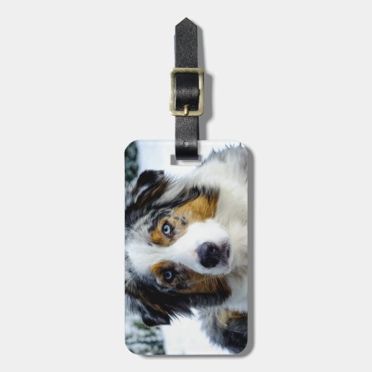 Miniatuur Amerikaanse Herder Blue Merle Bagagelabel (Voorkant verticaal)