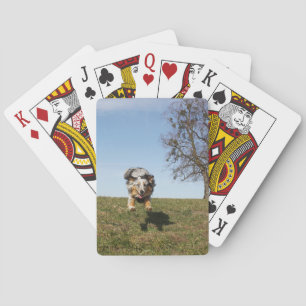Miniatuur Amerikaanse Herder Blue Merle Jumping Pokerkaarten