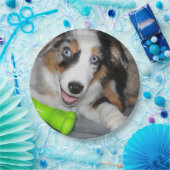 Miniatuur Amerikaanse Herder Blue Merle Puppy Papieren Bordje (Feest)